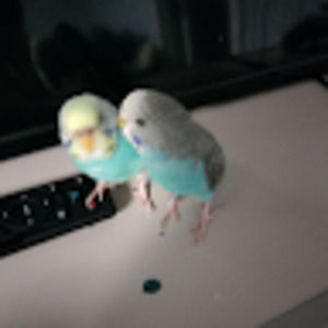 Meet your Posher, Matt